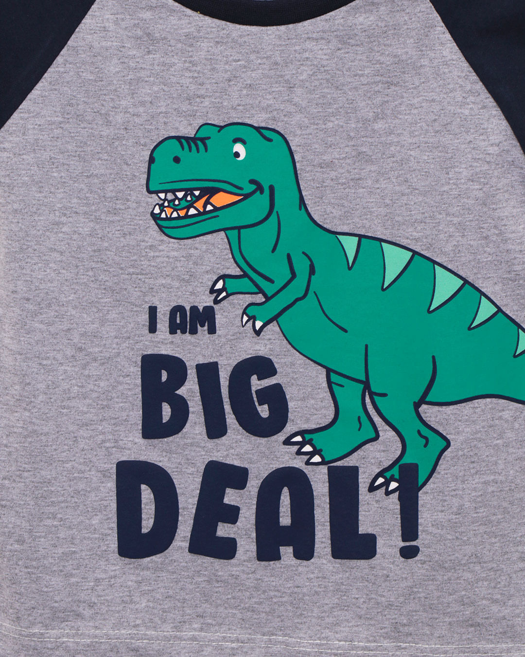 Dinossauro De Camisa